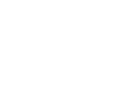 Dogs, cats